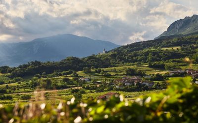 »Od odpada iz vinogradov Vipavske doline do 5 zvezdičnih doživetij, storitev in produktov«. ODpad – DOživetje